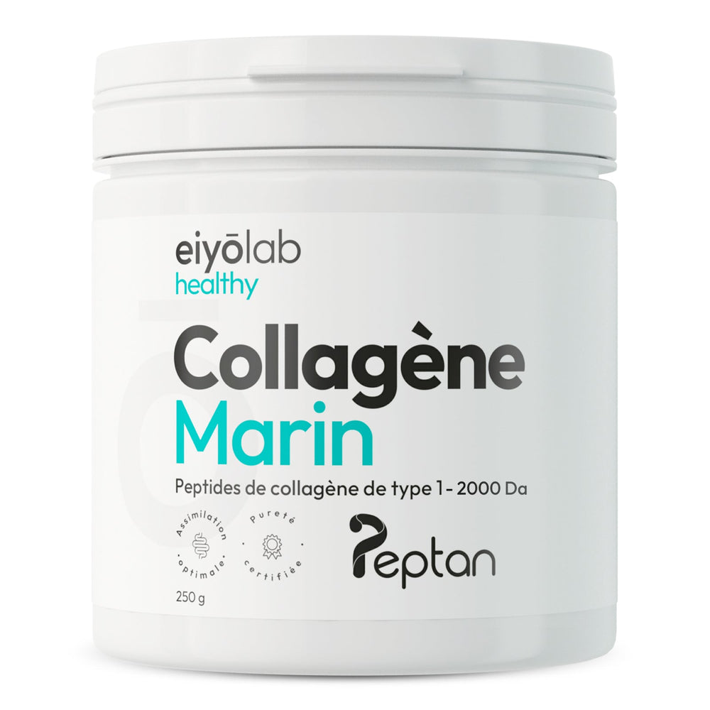 Collagène marin en poudre