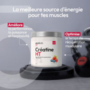 Créatine HT