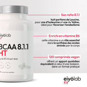 BCAA 8.1.1 HT