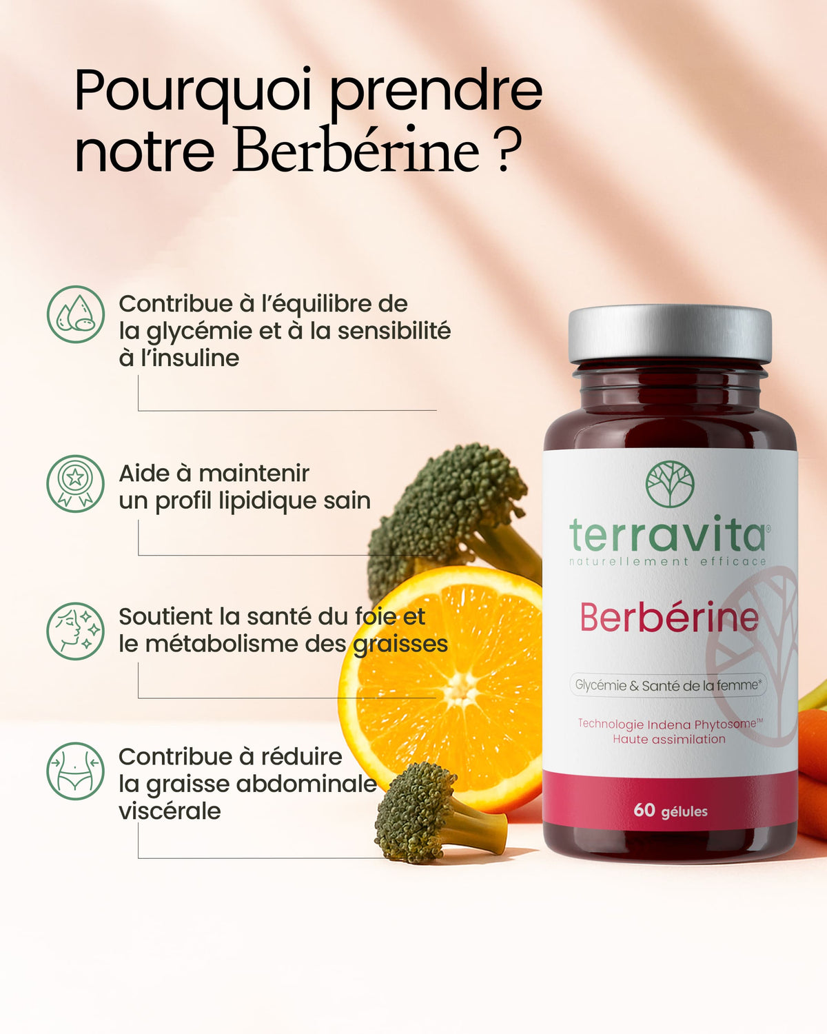 Berbérine liposomale