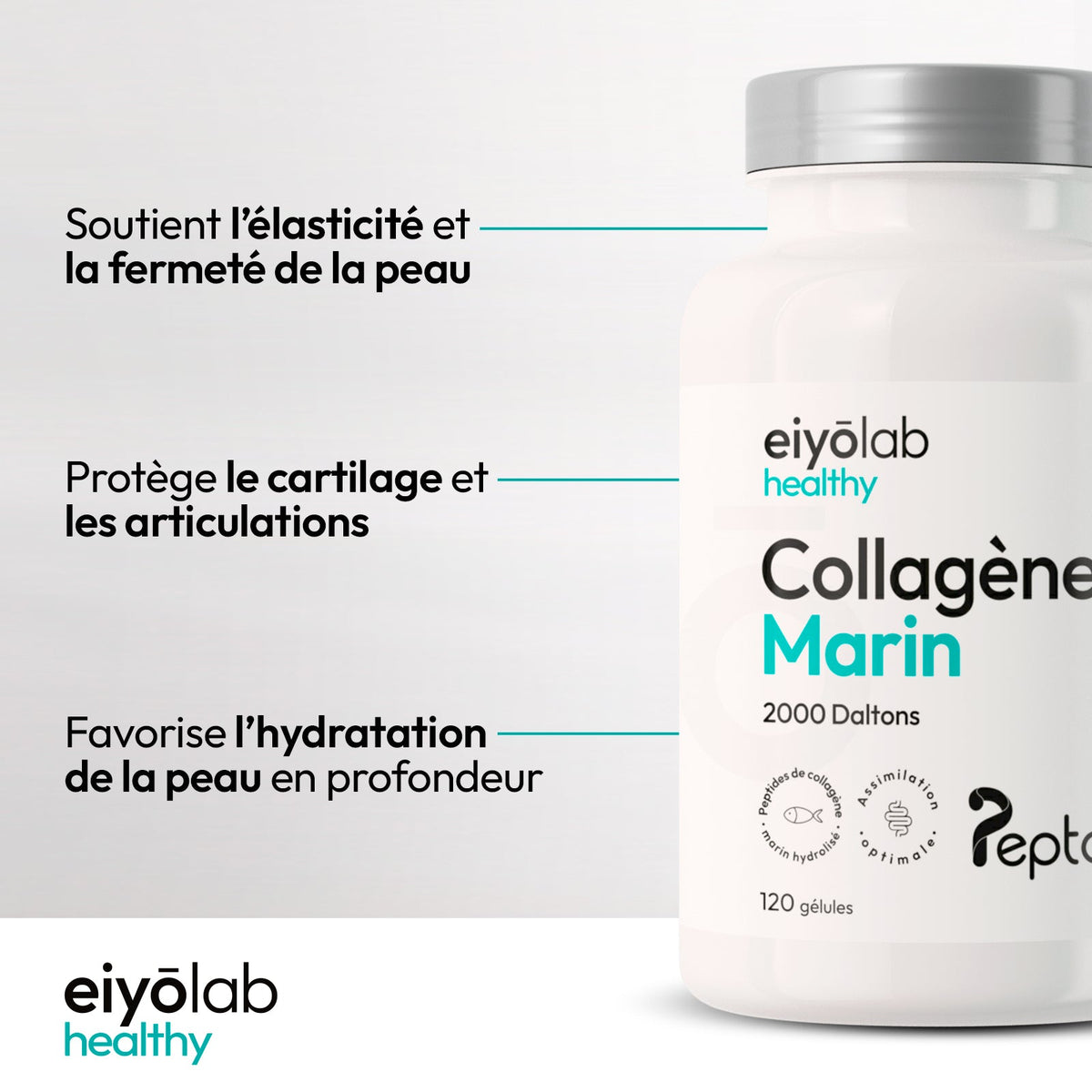 Collagène marin
