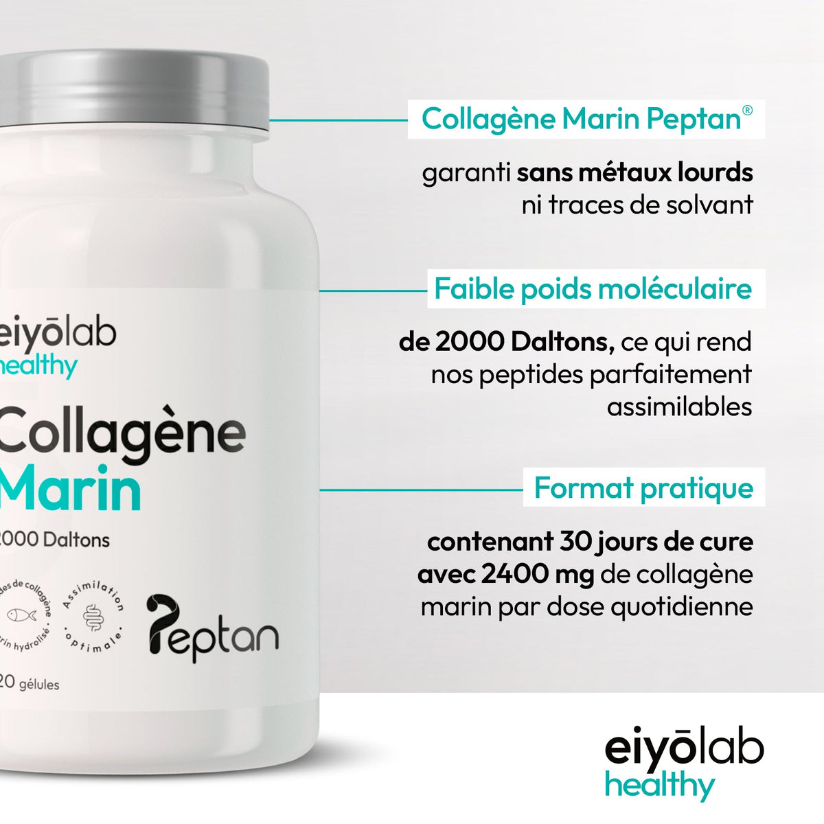 Collagène marin