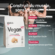 Vegan HT