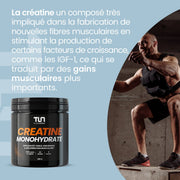 Créatine Monohydrate