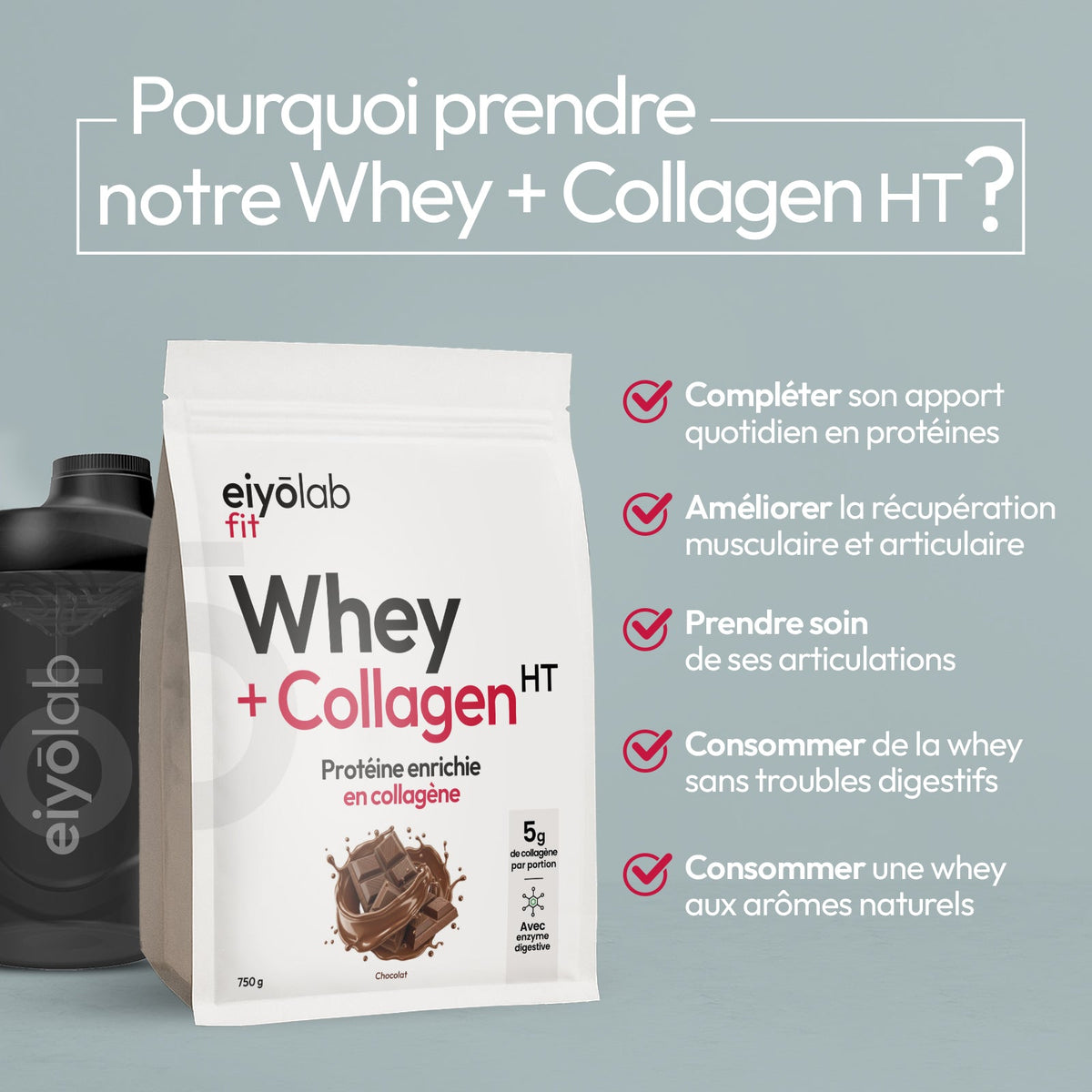 Whey + Collagen HT