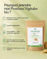 Protéine végétale Bio en poudre