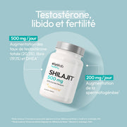 Shilajit
