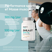 Shilajit