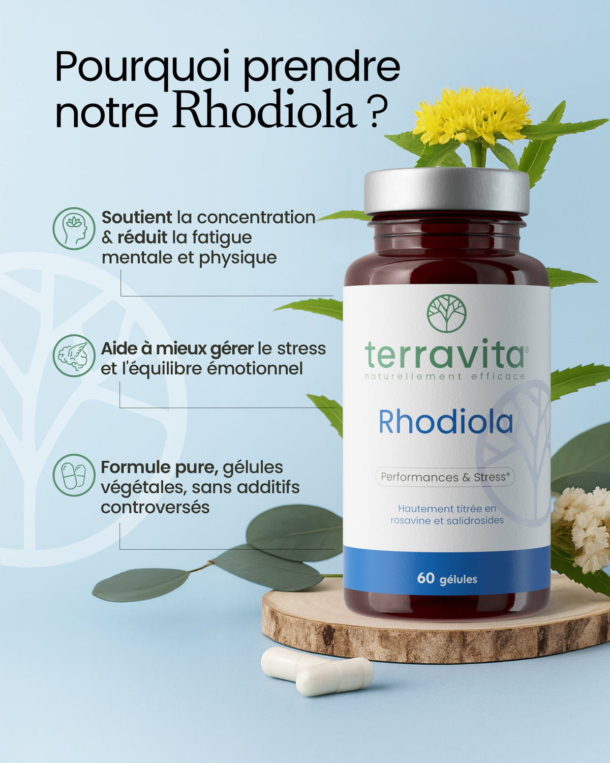 Rhodiola