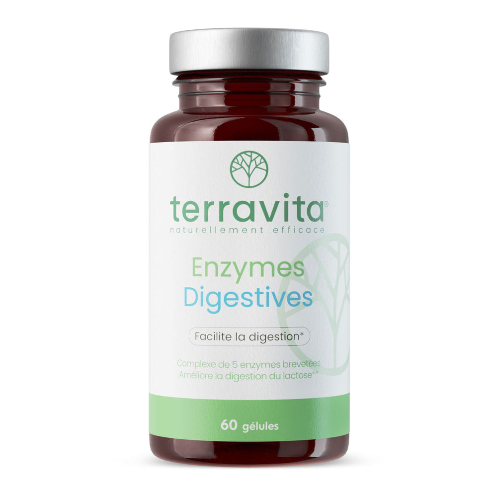 Enzymes digestives