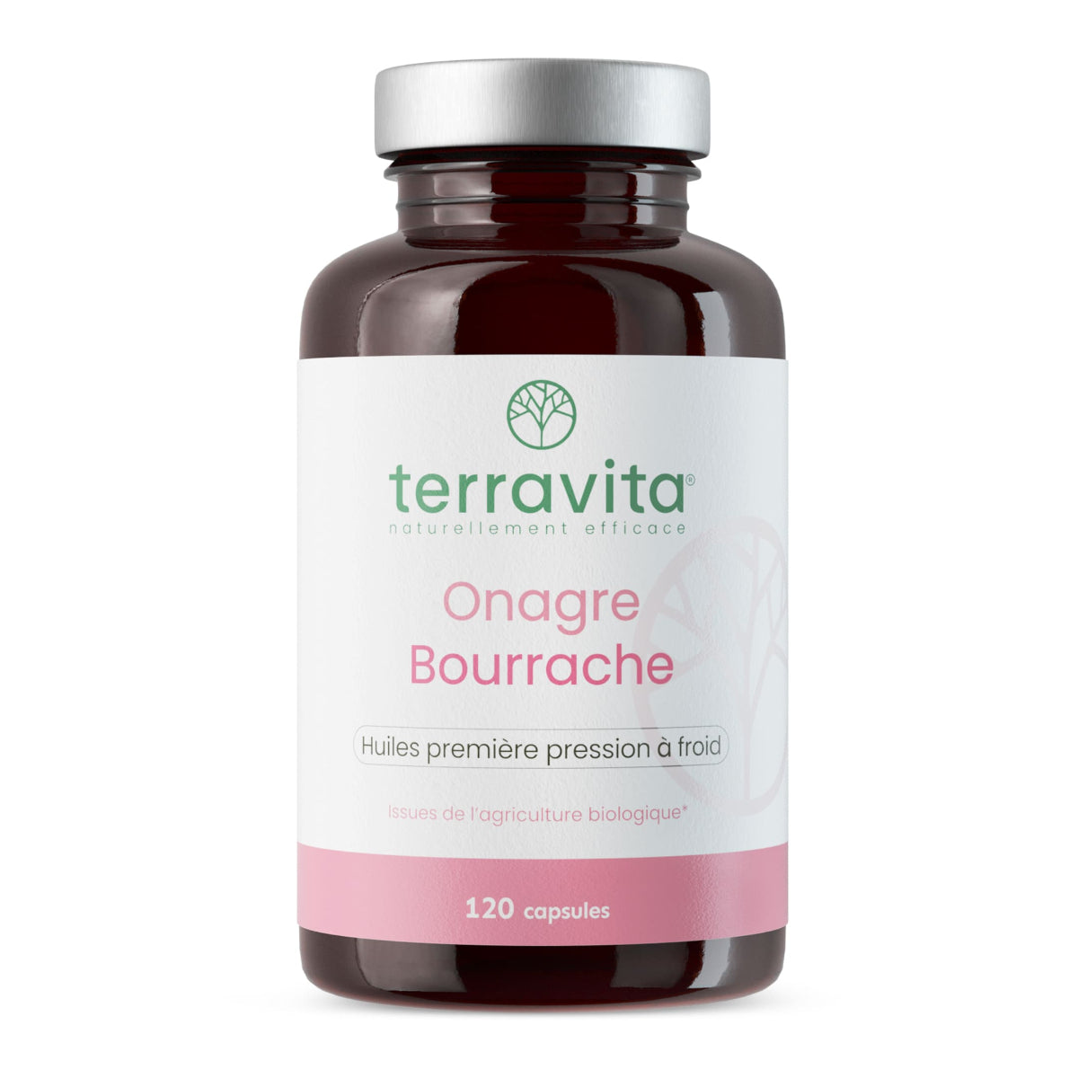 Onagre Bourrache