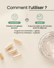 Probiotiques 8 souches