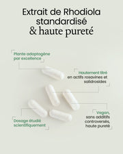 Rhodiola